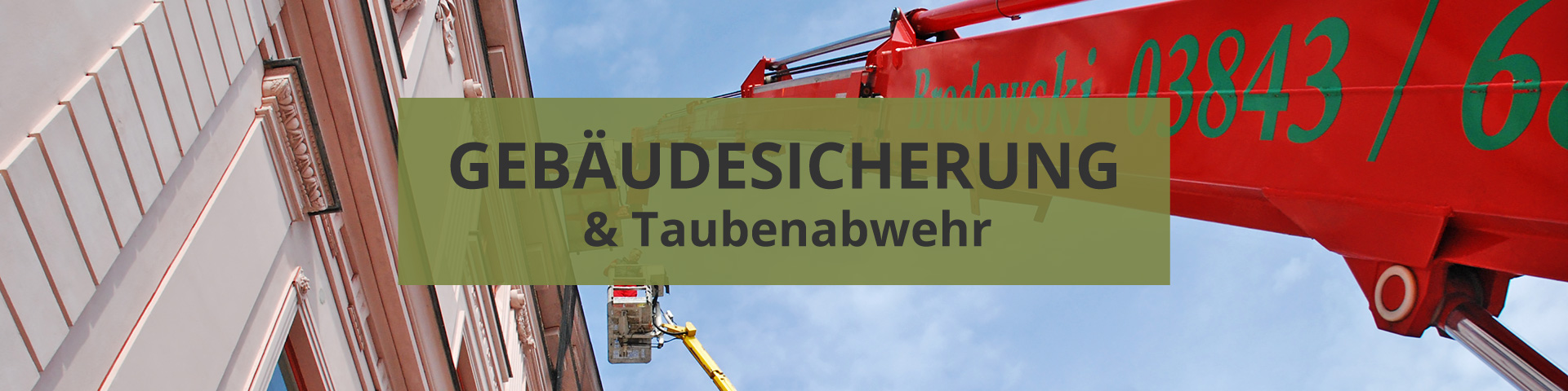 Brodowski SBK GmbH: Gebäudesicherung und Taubenabwehr in Mecklenburg-Vorpommern